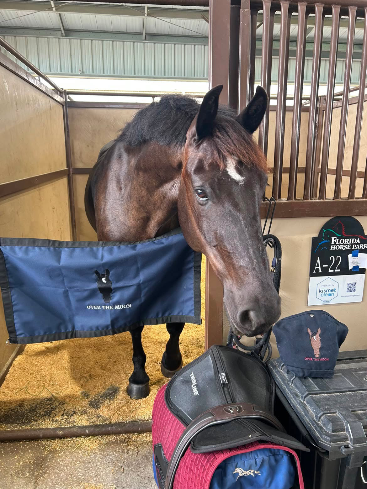 Stall Guard