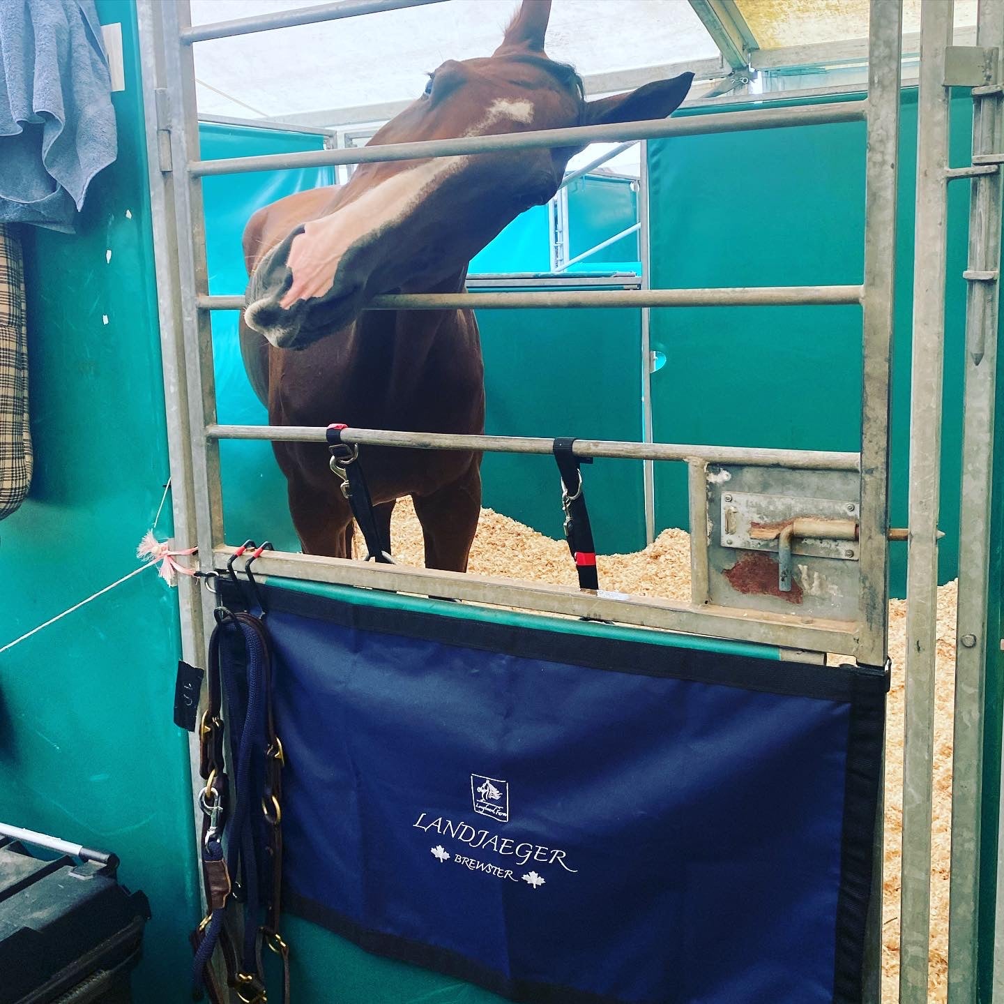 Alles voor je paardenstal - Ruyters voor Ruiters Alles voor je paardenstal - Ruyters voor Ruiters