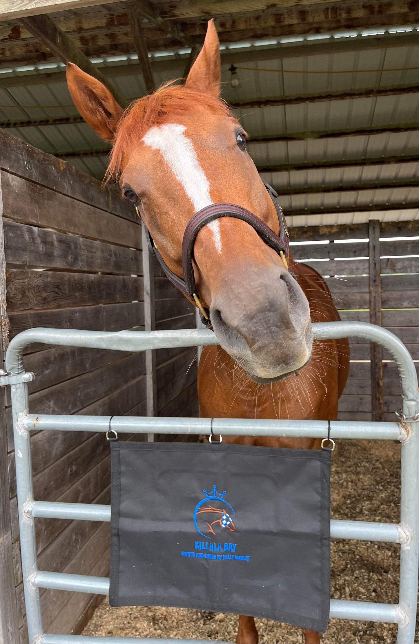 Custom Stall Guard